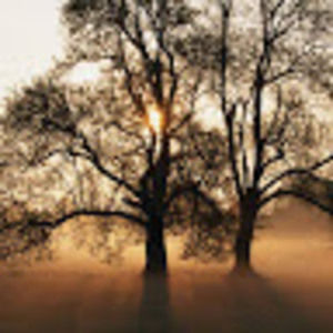 Meet your Posher, Ed